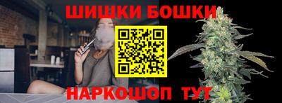 шишки Новокубанск