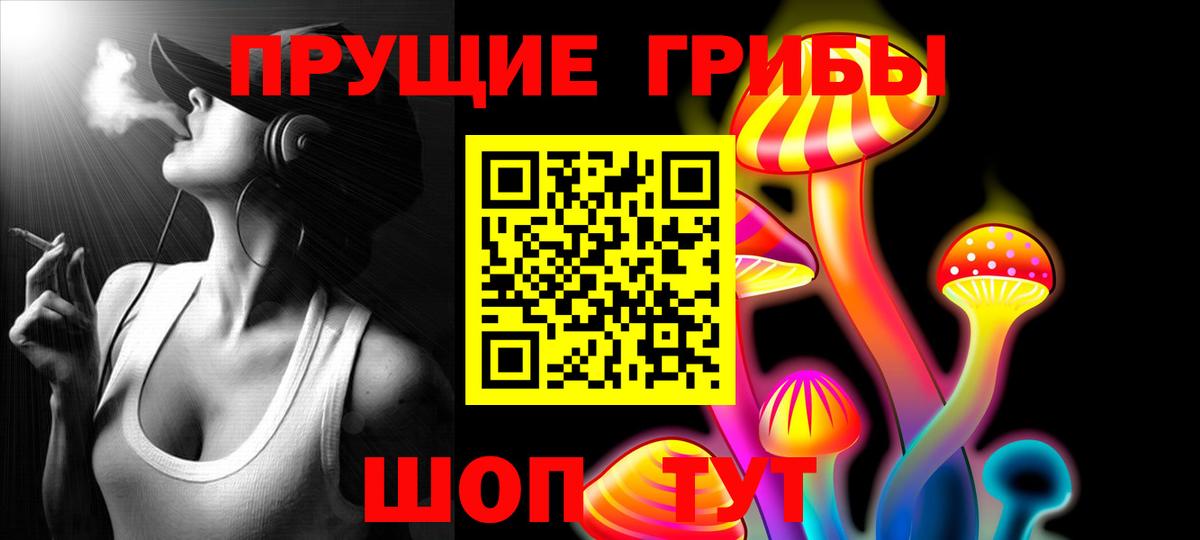 Сегежа  Галлюциногенные грибы MAGIC MUSHROOMS  Псилоцибиновые грибы Cubensis  Вход с VPN 