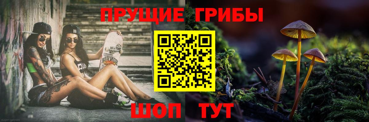 Галлюциногенные грибы Psilocybe Сегежа